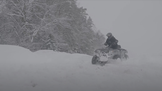 Устойчивость к холоду